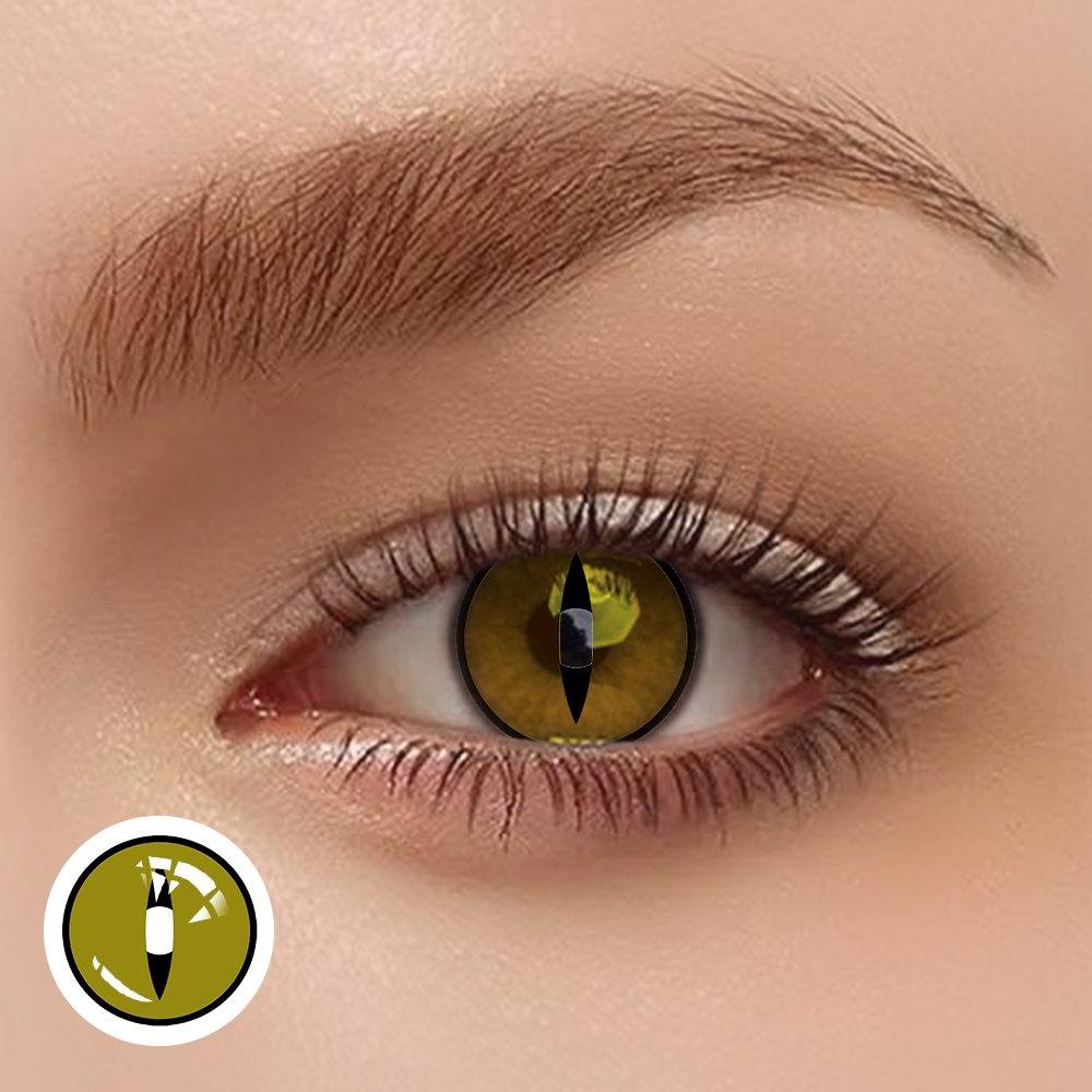 OJOTrend Maru Brown Contact Lenses 1 Yearly